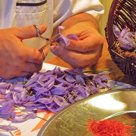 Bed & Breakfast La Schaafraniere