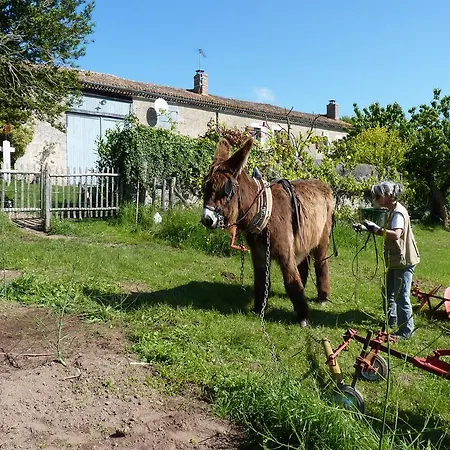 Oda ve Kahvaltı La Schaafraniere Saint-Aubin-le-Cloud