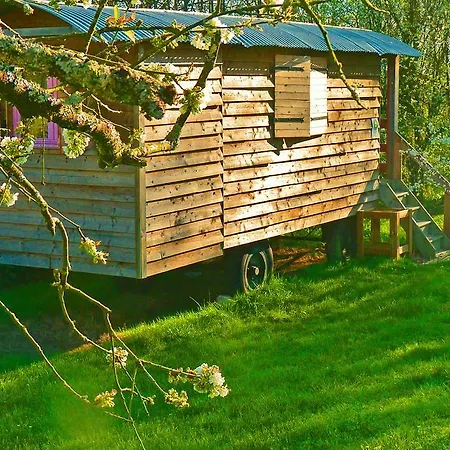 Oda ve Kahvaltı La Schaafraniere