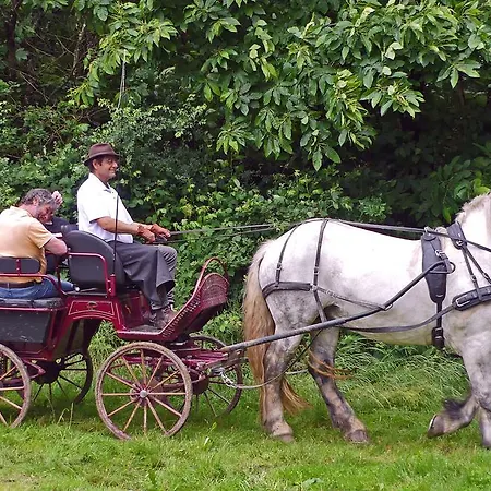 Oda ve Kahvaltı La Schaafraniere 3*