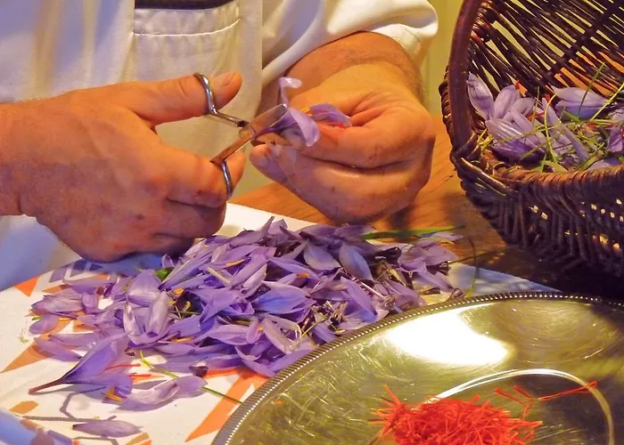 B&B La Schaafraniere