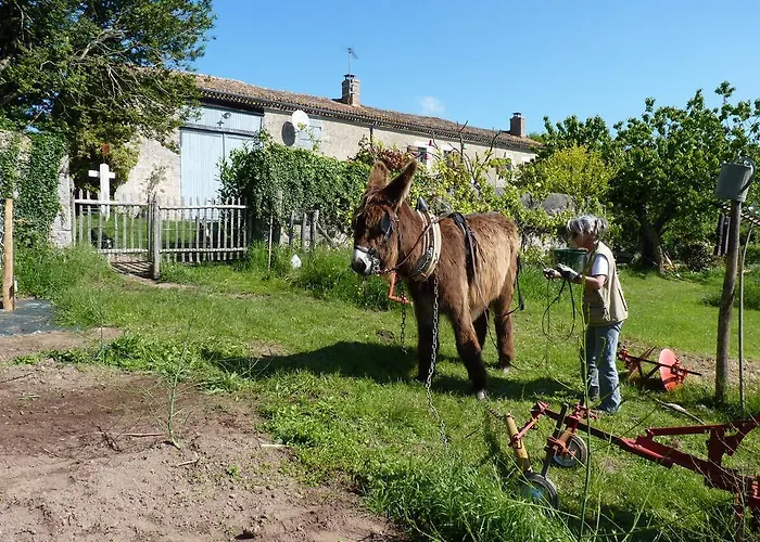 B&B La Schaafraniere Saint-Aubin-le-Cloud