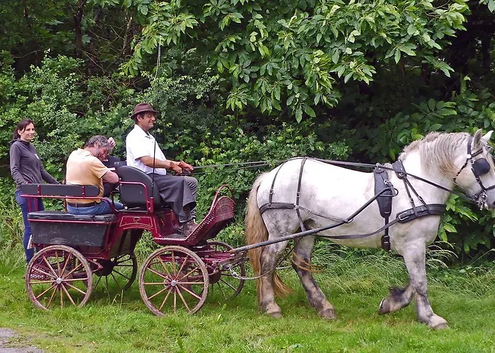 B&B La Schaafraniere 3*